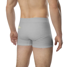 Load image into Gallery viewer, FORYNATION BASICS UNDERWEAR: SILVER BOXER BRIEFS
